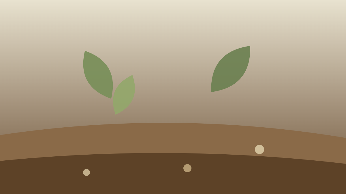 Composting 101: Turn Kitchen Scraps into Garden Gold
