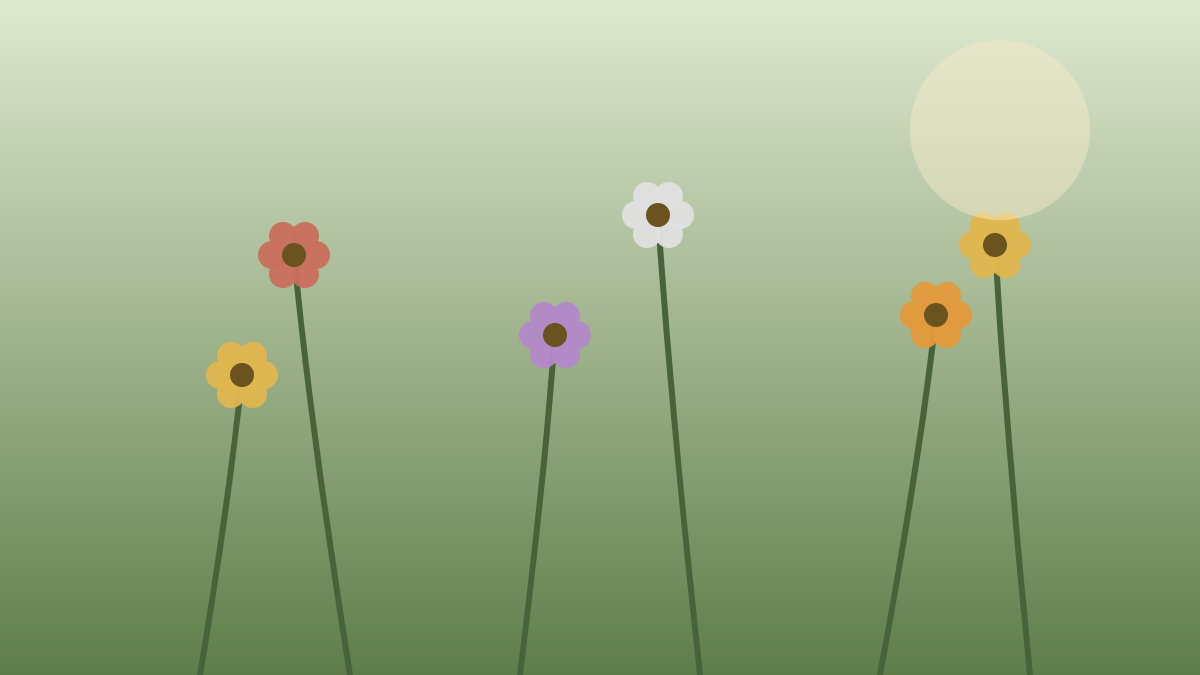 Native Plant Gardening: Why It Matters and How to Start